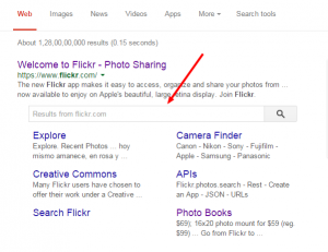 flicker-sitelink-search-box-reach360