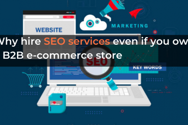 Why hire SEO services even if you own a B2B e-commerce store